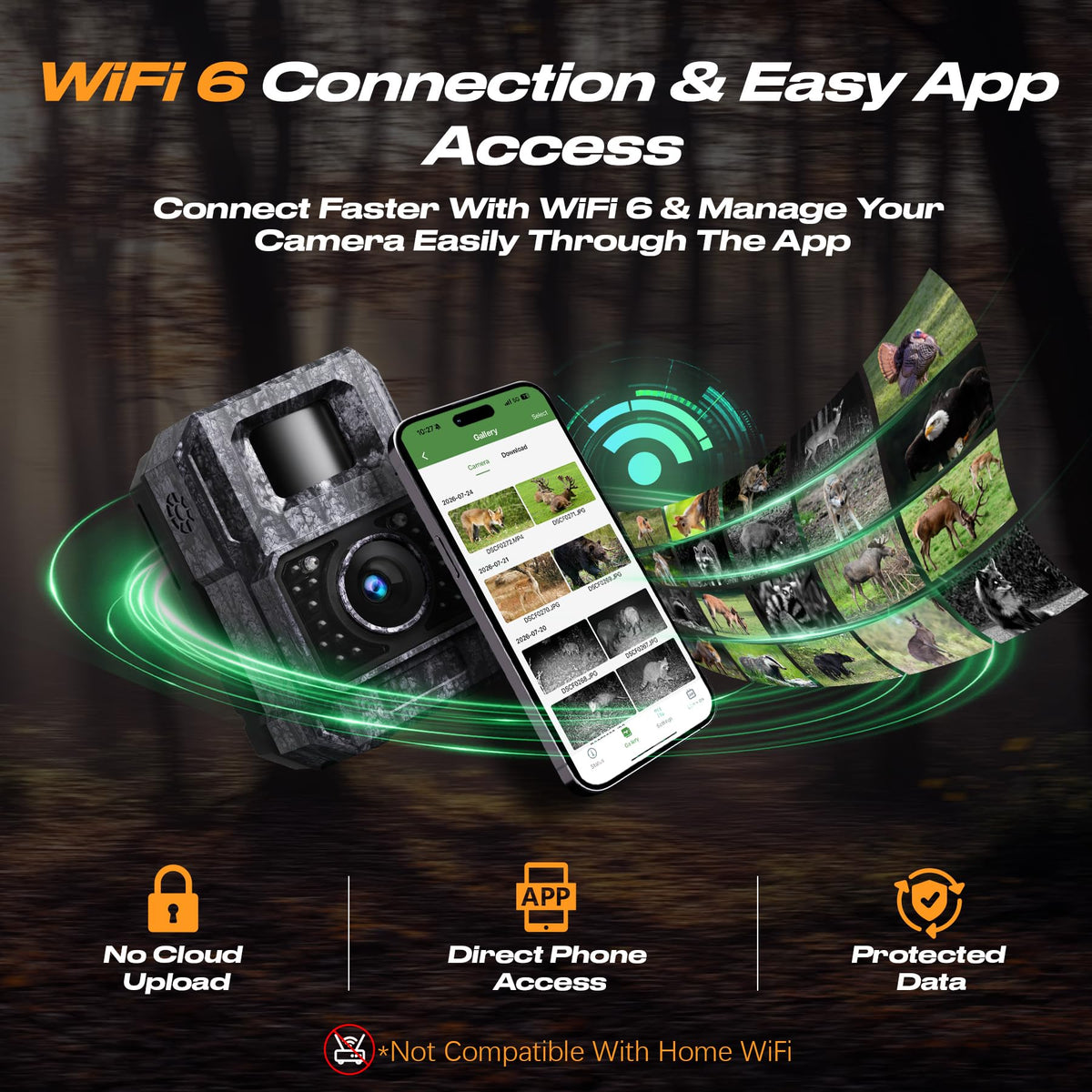 MAXDONE Solar Trail Camera 2 Pack, 4K 64MP WiFi Bluetooth Game Camera