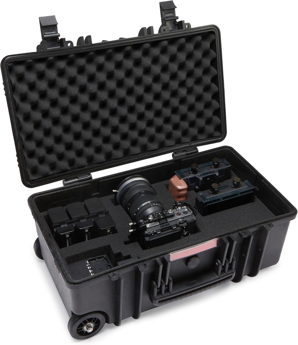 Amazon Basics Hard Protective Camera Case with Wheels, Large, Black, 22"L x 14"W x 9.8"H