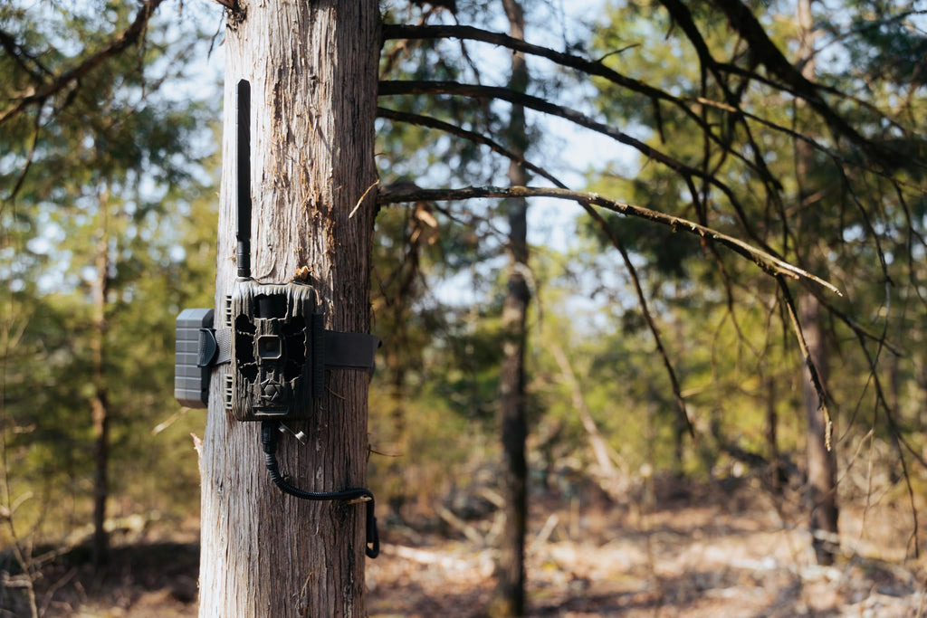 Stealth Cam Deceptor MAX 40MP 1440P QHD No-Glo LED Cellular Trail Camera