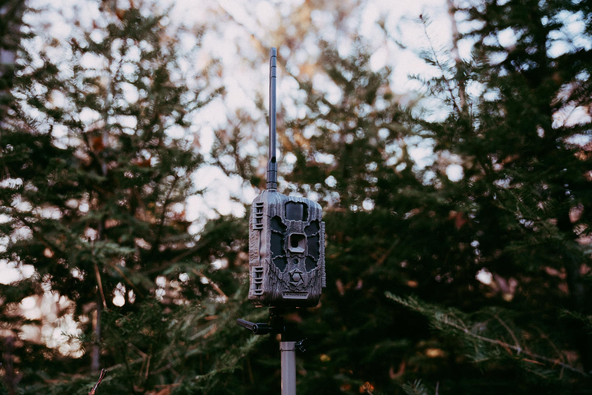 Stealth Cam Deceptor MAX 40MP 1440P QHD No-Glo LED Cellular Trail Camera