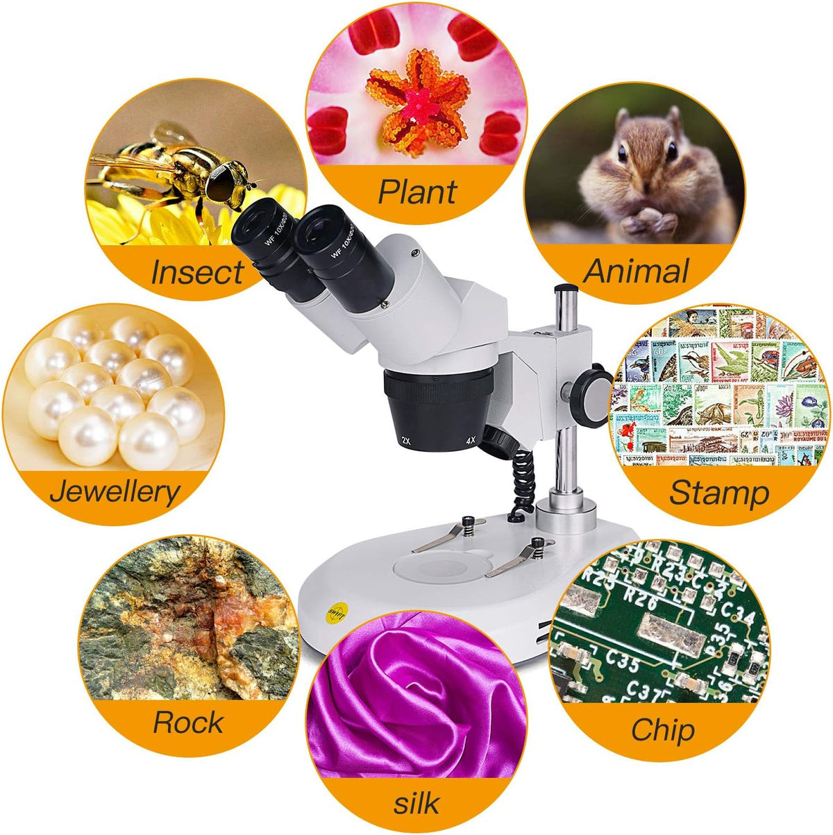 Swift S306S-20-2L Binocular Stereo Microscope, 20X/40X/80X Magnification, 360Â° Rotatable Forward-Mounted Head, Wide-Field 10X/20X Eyepieces, Upper & Lower LED Lights, Reversible Stage Plate