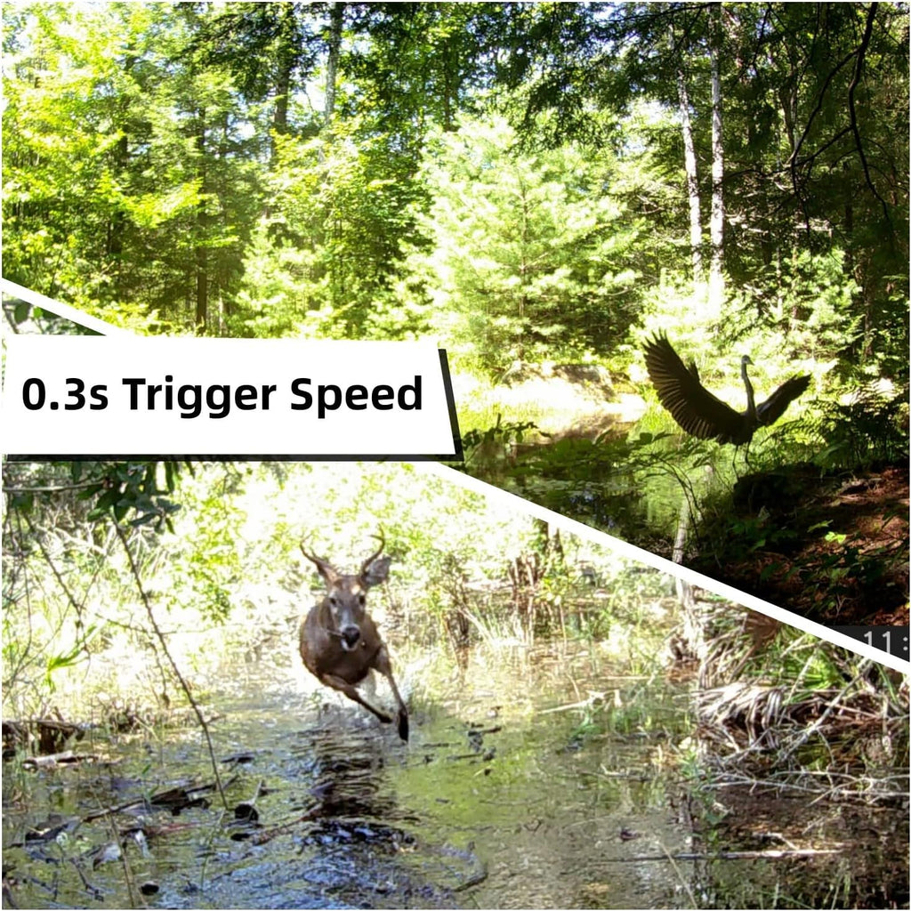 WOSODA 2 Pack Trail Cameras with Night Vision Motion Activated Waterproof,48MP Game Camera,1080P HD Trail Cam with SD Card for Wildlife Monitoring,Outdoor Scouting & Security(Non-WiFi)