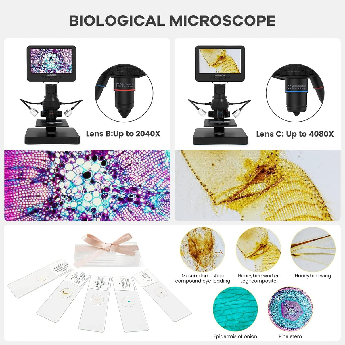Andonstar AD246S-P HDMI Digital Microscope with 7'' Screen, 4000x 3 Lens