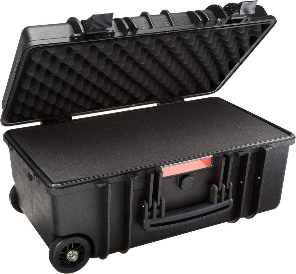 Amazon Basics Hard Protective Camera Case with Wheels, Large, Black, 22"L x 14"W x 9.8"H