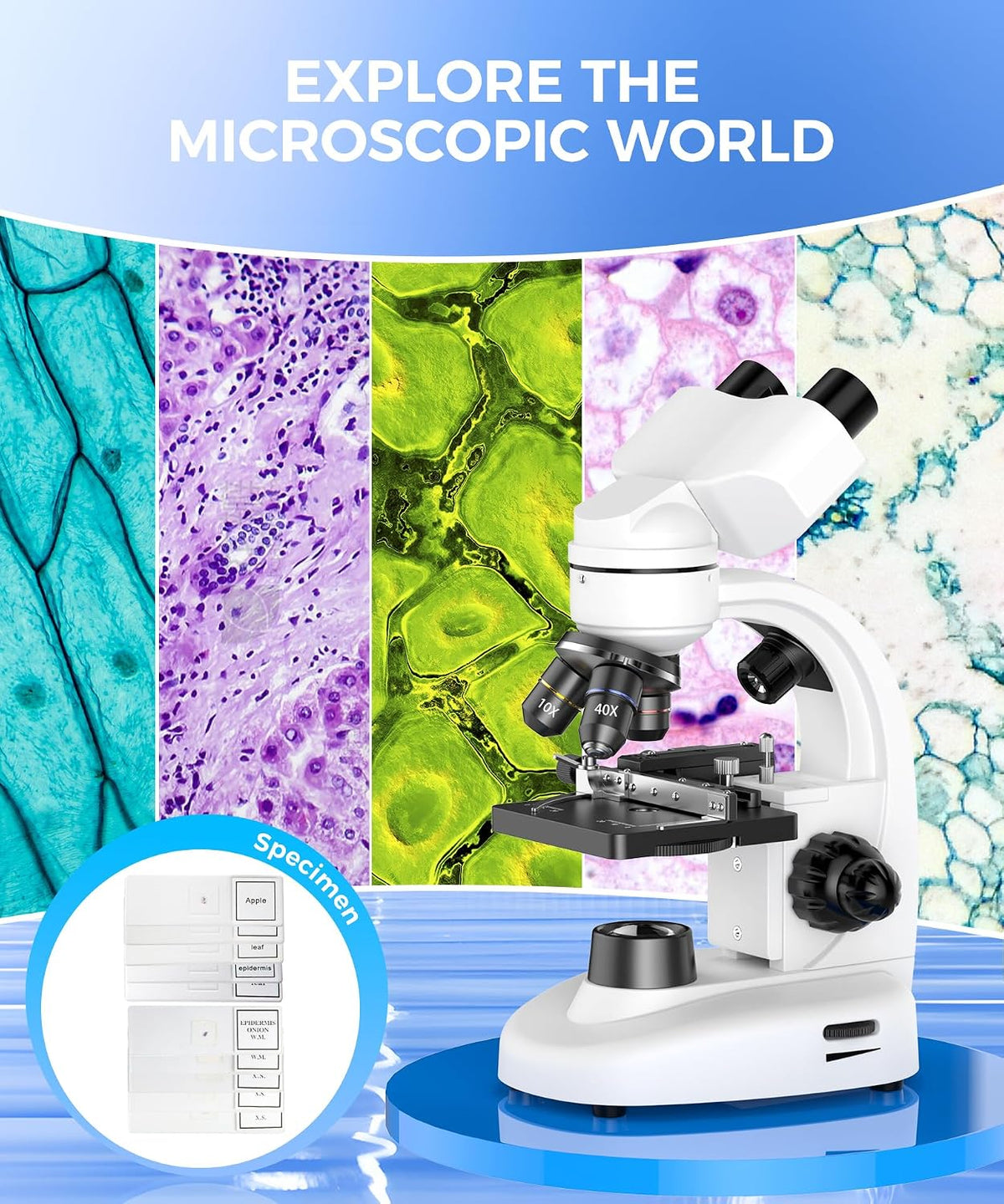 PalliPartners Compound Binocular Microscope for Adults, Professionals&Kids