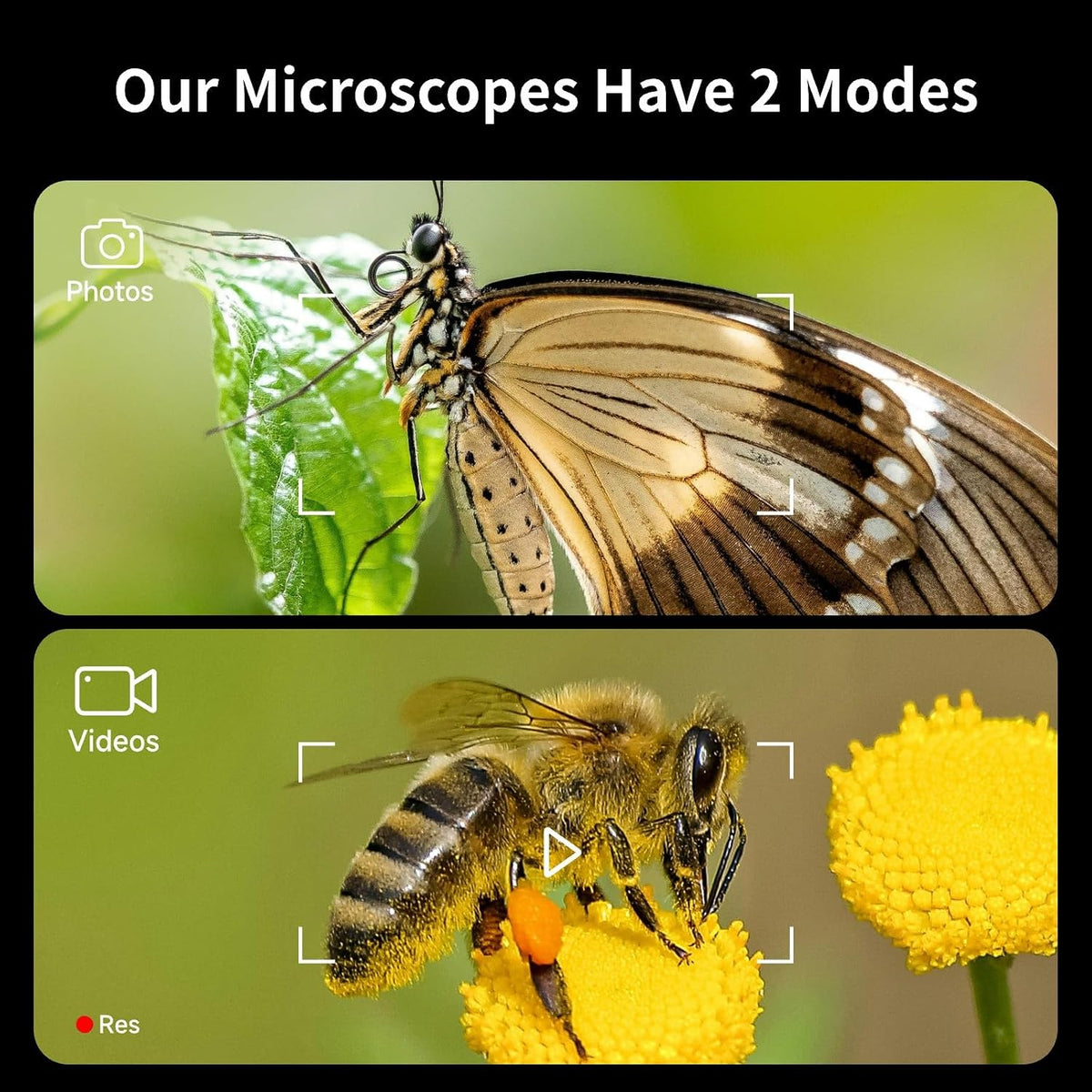 Digital Microscope 1600x, 4.0 Inch Portable Electronic Coin Microscope with 8 Adjustable LED Lights for Adults