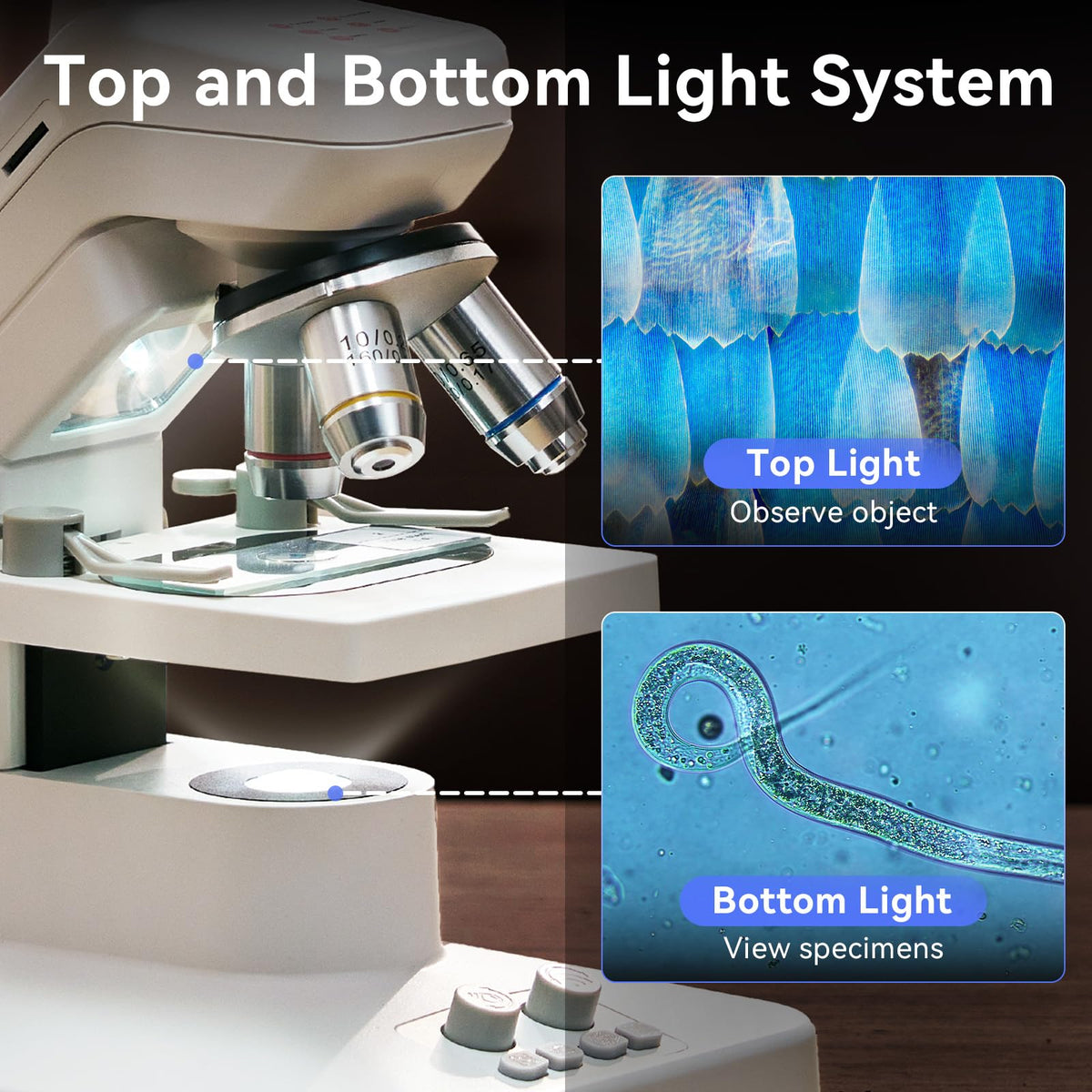 TOMLOV DM301 Max Microscope for Kids Students Adults, Science Experiments