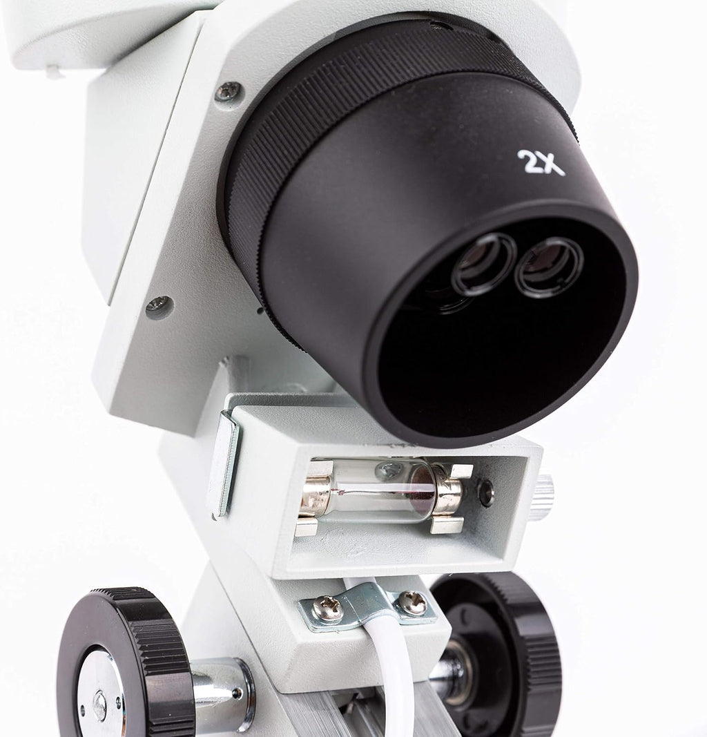 AmScope SE306R-PZ Forward Binocular Stereo Microscope, WF10x and WF20x