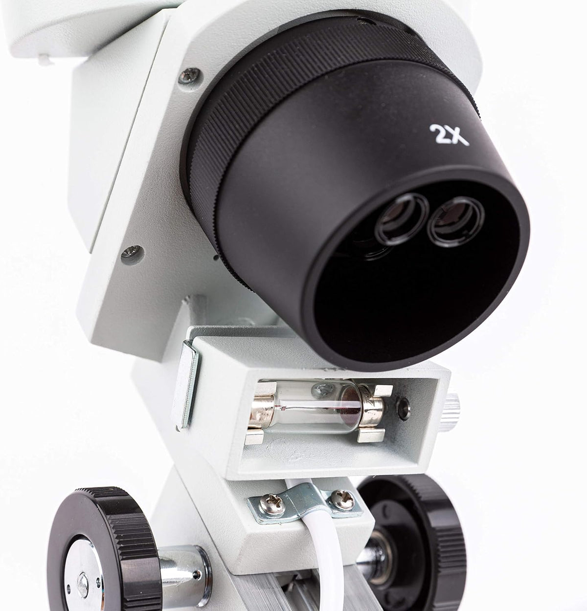 AmScope SE306R-PZ Forward Binocular Stereo Microscope, WF10x and WF20x