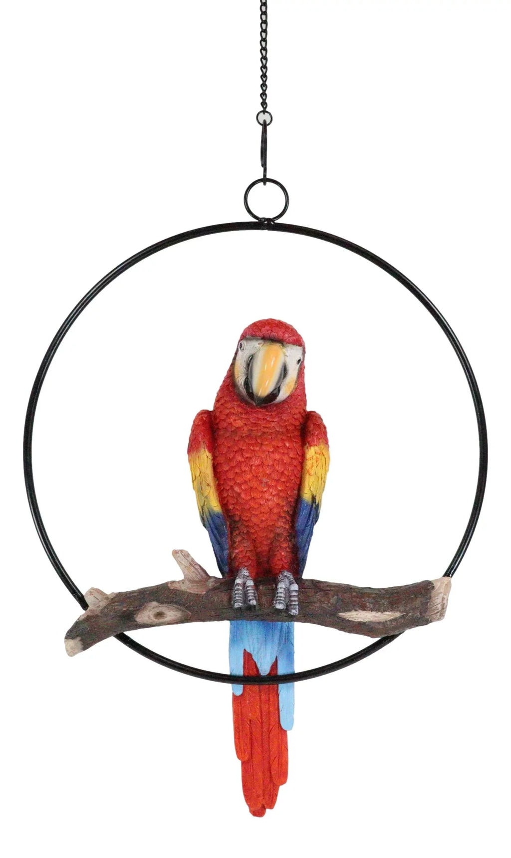 13.5"H on Scarlet Metal Hanging Round in Perching Macaw Ebros Parrot Branch Ring