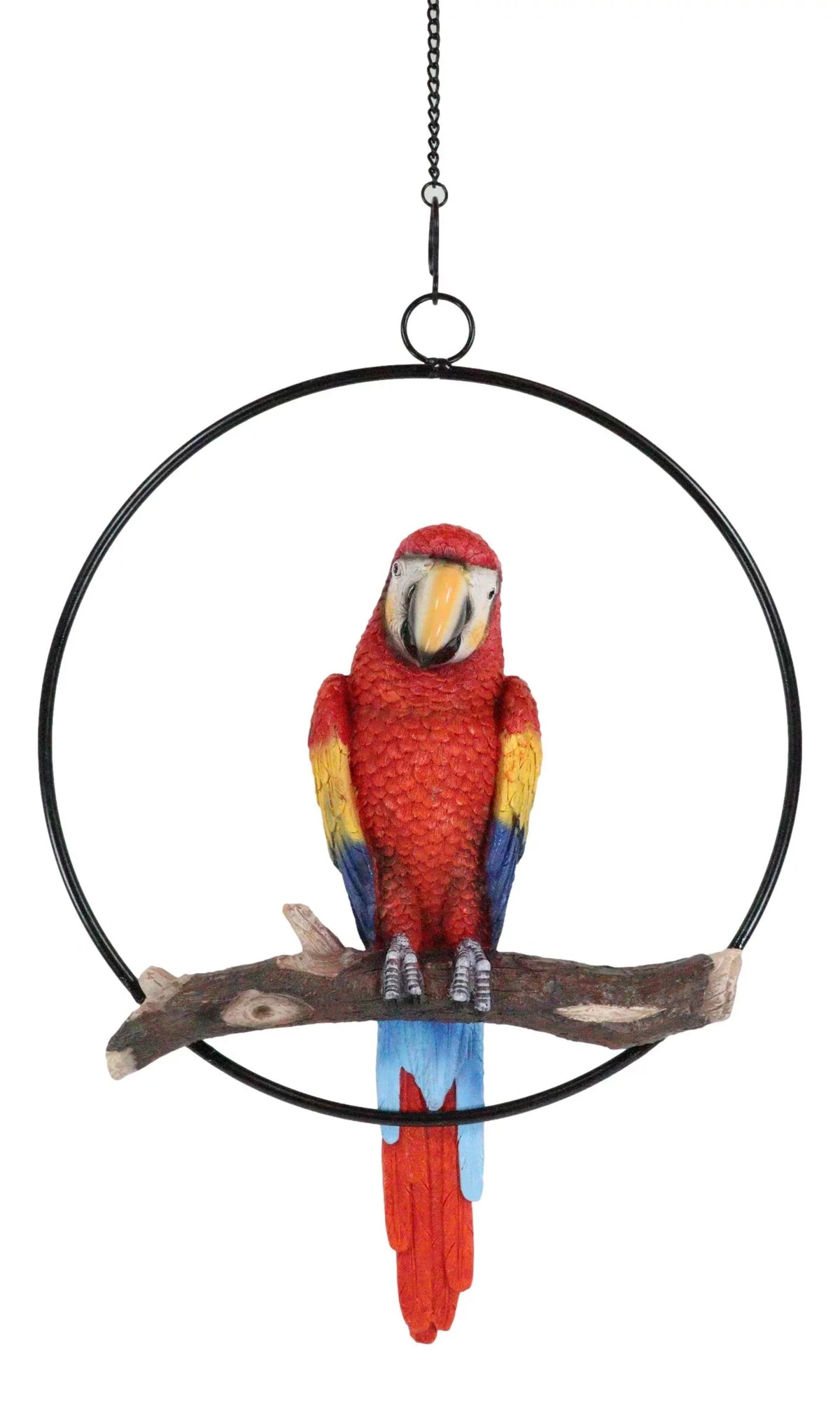 13.5"H on Scarlet Metal Hanging Round in Perching Macaw Ebros Parrot Branch Ring