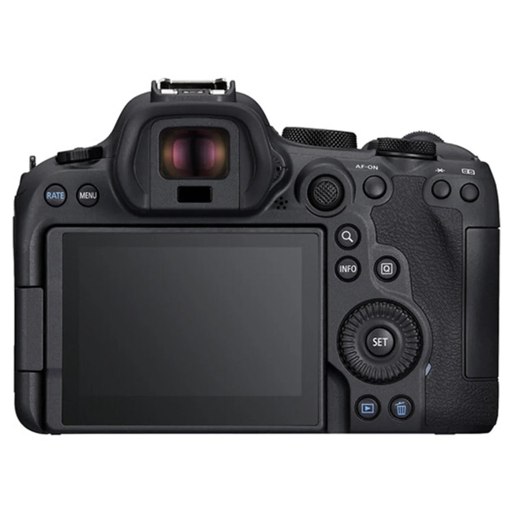 Canon Eos R6 Mark Ii Mirrorless Camera With Rf 24-105Mm Lens + Ef 75-300Mm + Mount Adapter + Sandisk 32Gb Memory Card + Case + Led Flash + Zeetech Accessory Bundle