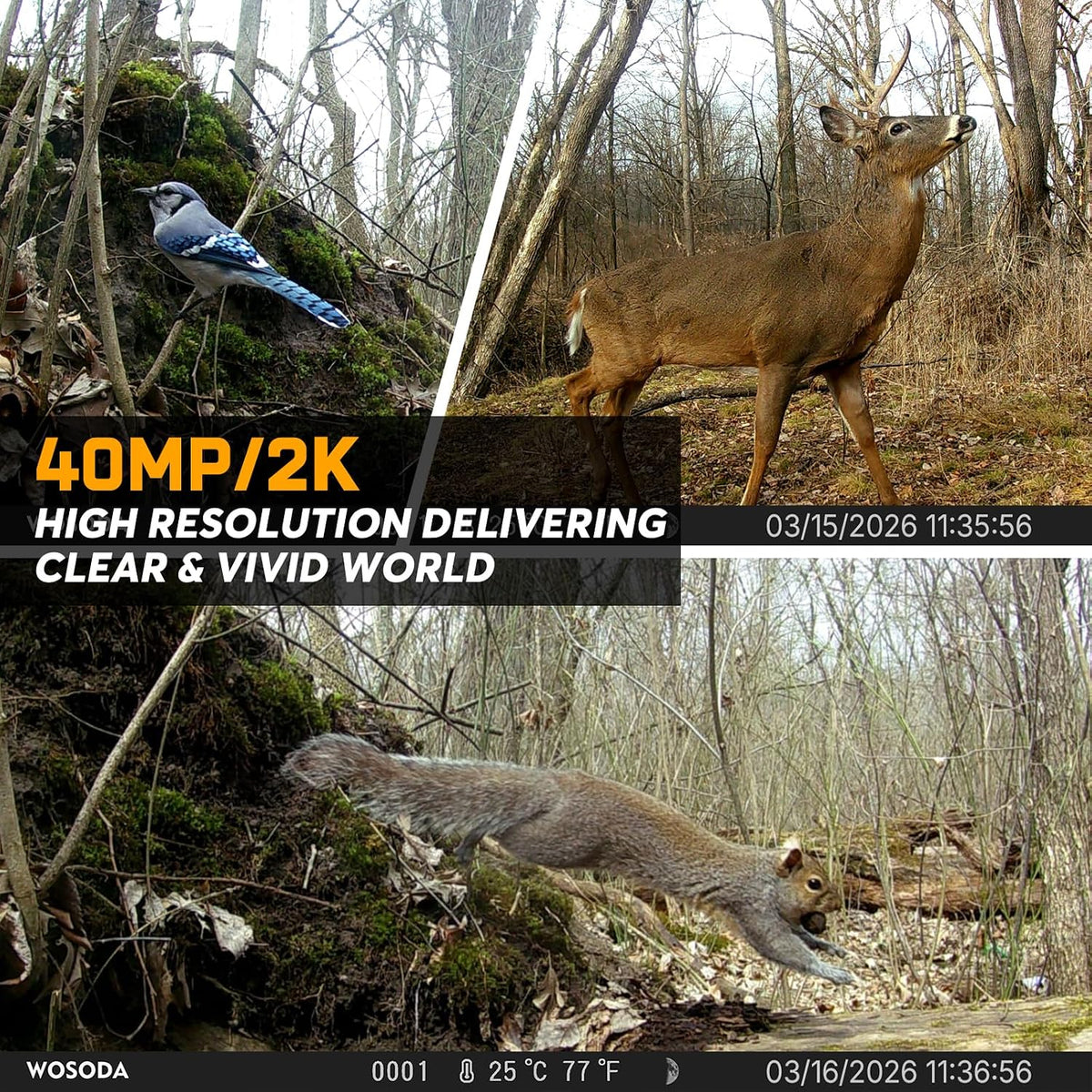 WOSODA 3 Pack Trail Cameras with Night Vision Motion Activated Waterproof,40MP Game Camera,2K HD Trail Cam with 32GB SD Card for Wildlife Monitoring,Outdoor Scouting & Security