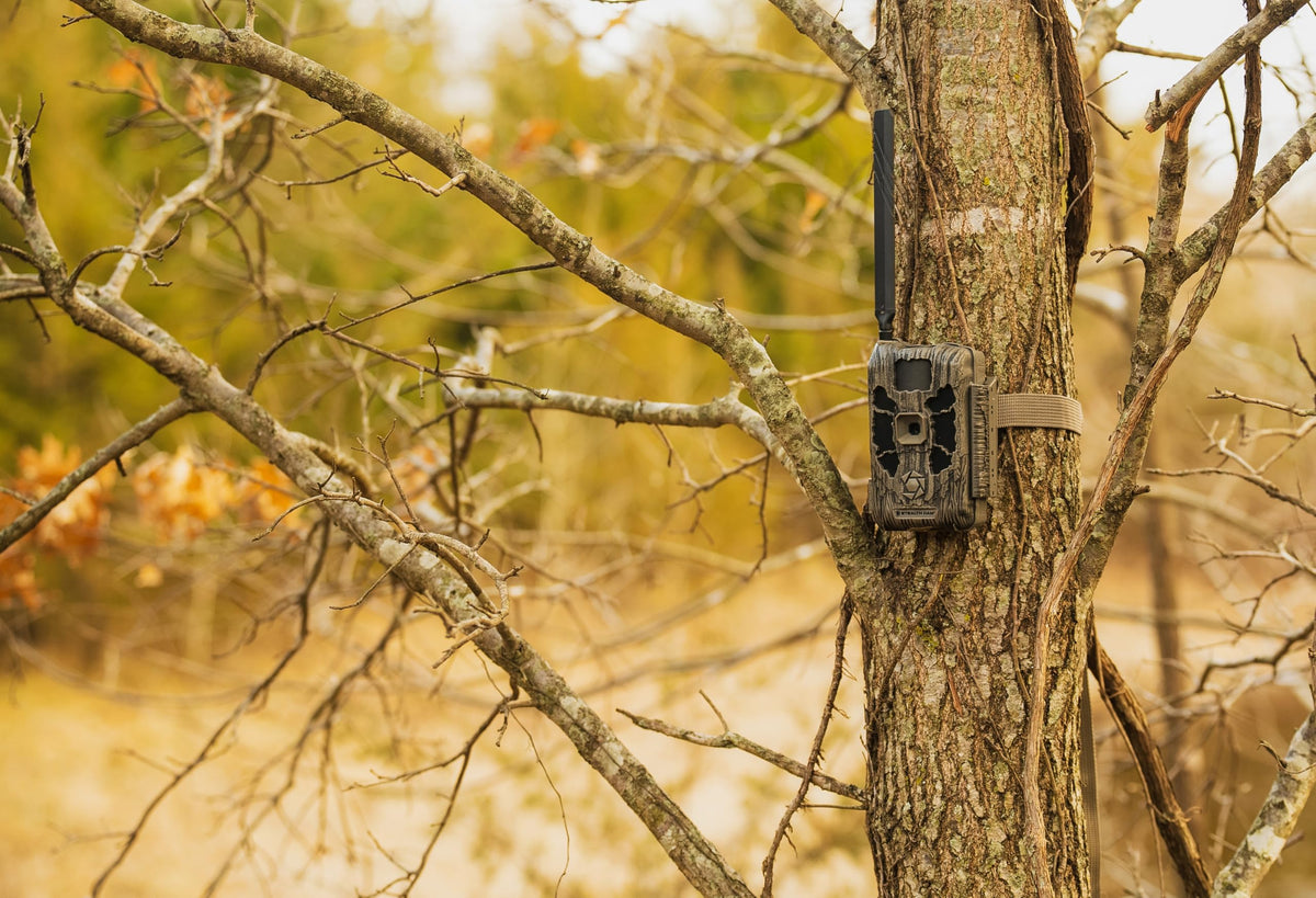 Stealth Cam Deceptor MAX 40MP 1440P QHD No-Glo LED Cellular Trail Camera