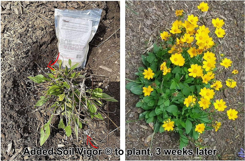 Potassium Polyacrylate Keep Moisture And Regulate The Ph Of Soil For Plant 45 Pounds
