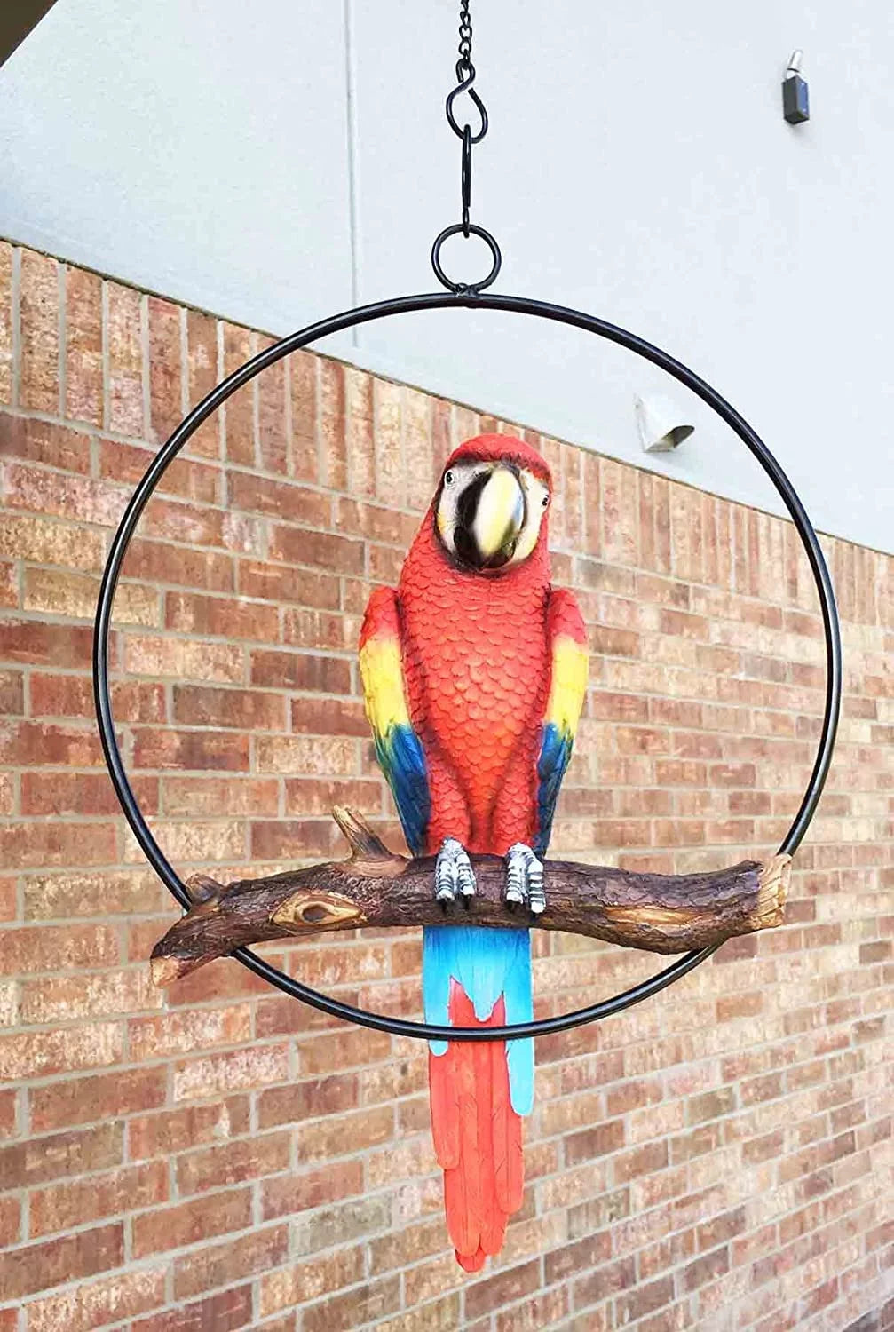 13.5"H on Scarlet Metal Hanging Round in Perching Macaw Ebros Parrot Branch Ring