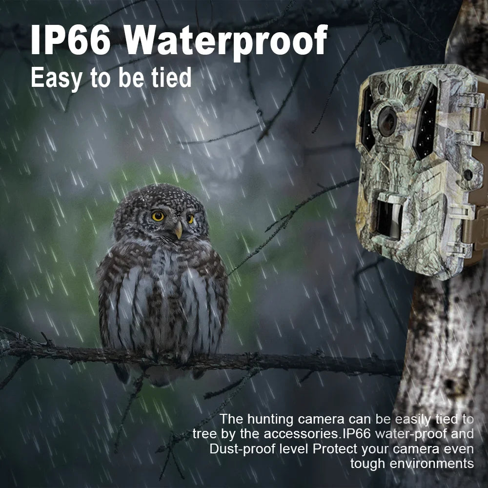 Trail Camera Hunting Mini Wildlife 24MP Vision Night Cam 1080P Waterproof with