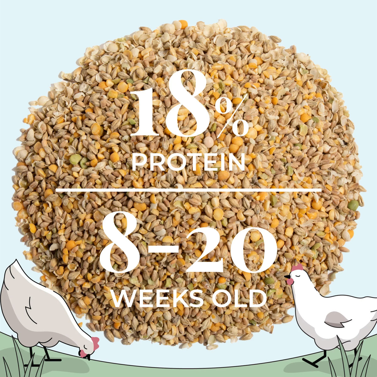 Non-Medicated Grown Organic, US 100% Grains, Organic Non-GMO, Certified Chicken Whole Corn-Free, | Four | Protein | Feed | Chicken Certified | Grain Soy-Free, 18% 46 lbs. Grower Food Mile