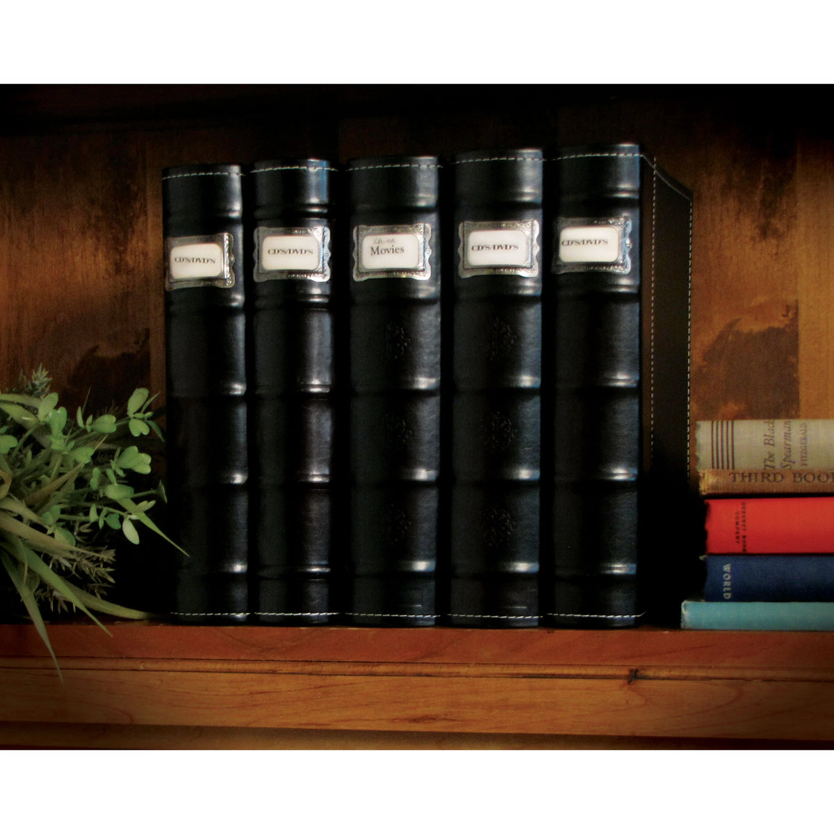 '- Pack for Storage Organizer CDs, - Bellagio-Italia Video Binder & DVDs, CD/DVD Leather Acid-Free - Rays, - Storage Blu Black 144-Disc Games Organizer Sheets 3 - Capacity Binder -