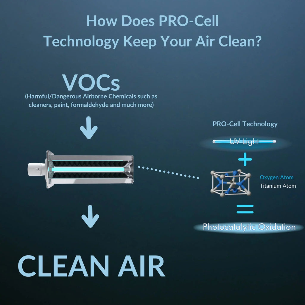 Haven Health as HVAC in & UVC Min. Lamp, Air Filters Installs Features a Little Purifier Powerful Air Plus Carbon PCO, 15 as