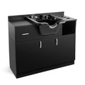 Station Sink with Artist Holes,P hand Shampoo Trap,Drawer(Black) Hair Beauty USB,Hair Salon Backwash Dryer