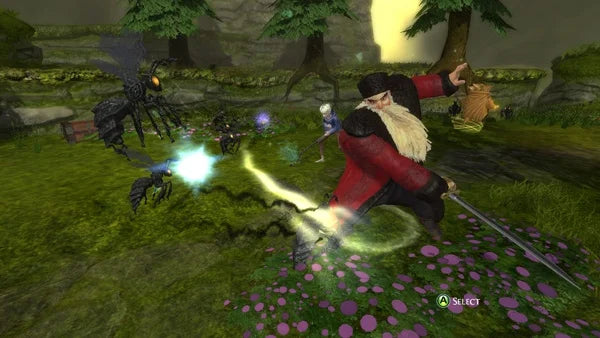 of the Guardians Rise Wii -