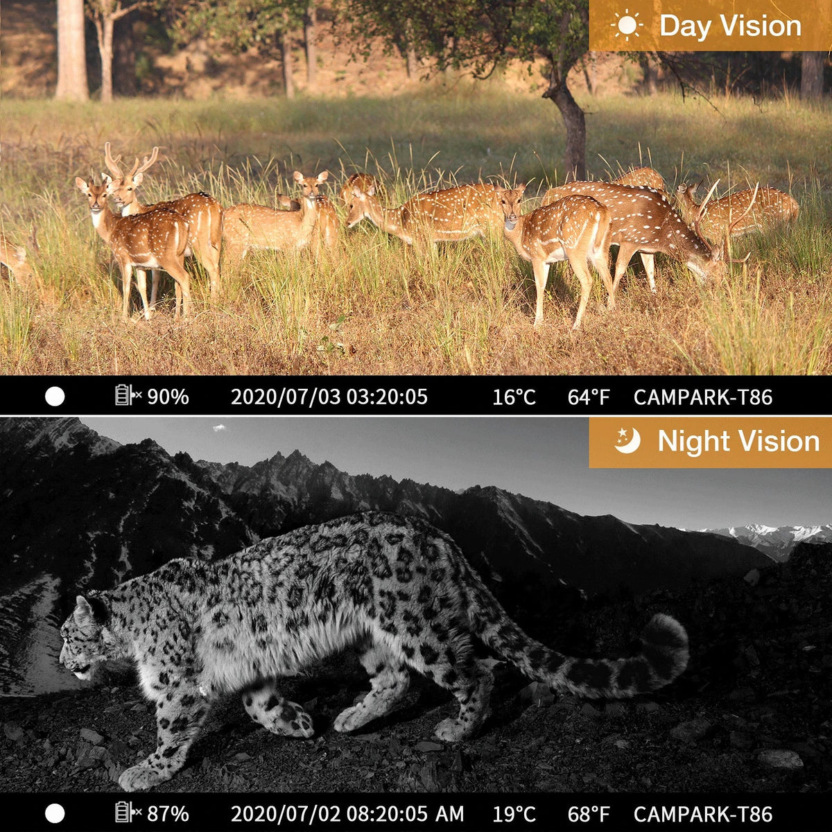 Vision Camera H80 with 20MP Bluetooth CAMPARK Waterproof Game WiFi Trail Hunting 1296P Camera Nigth