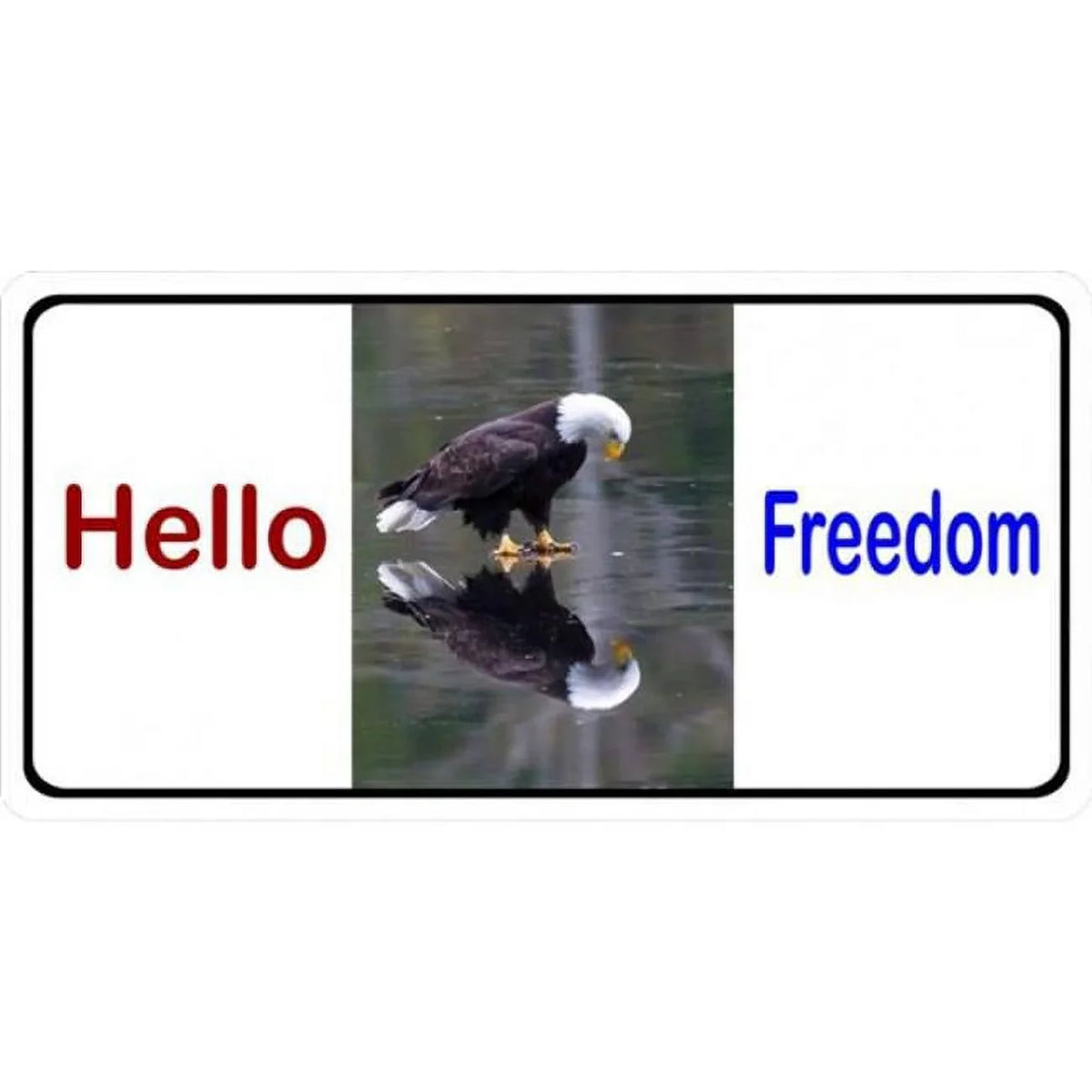 212 in. 6 12 with x Freedom Photo Main LPO1920 Eagle Hello License Plate