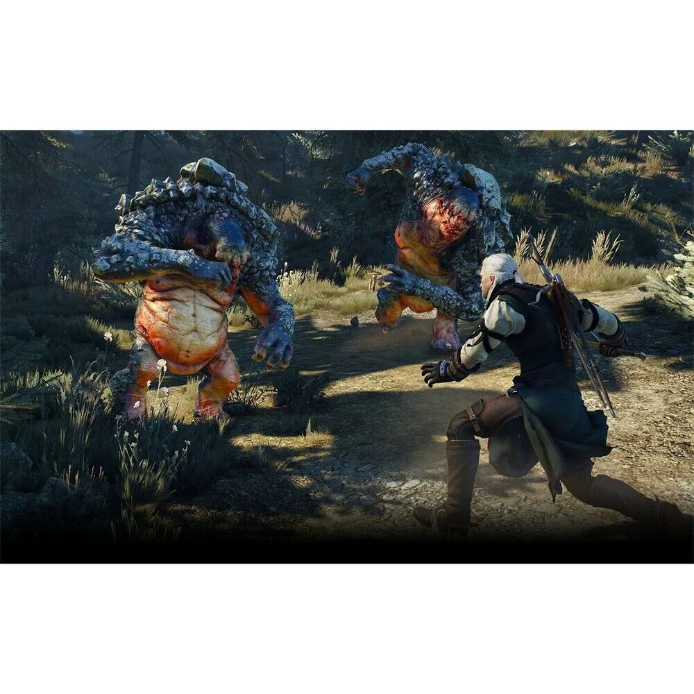 The - 5 Complete PlayStation PlayStation Edition Wild Hunt 3: 4, Witcher