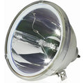 Lg Re-44Sz21Rd Original Lamp With Housing With 90 Days Replacement Warranty