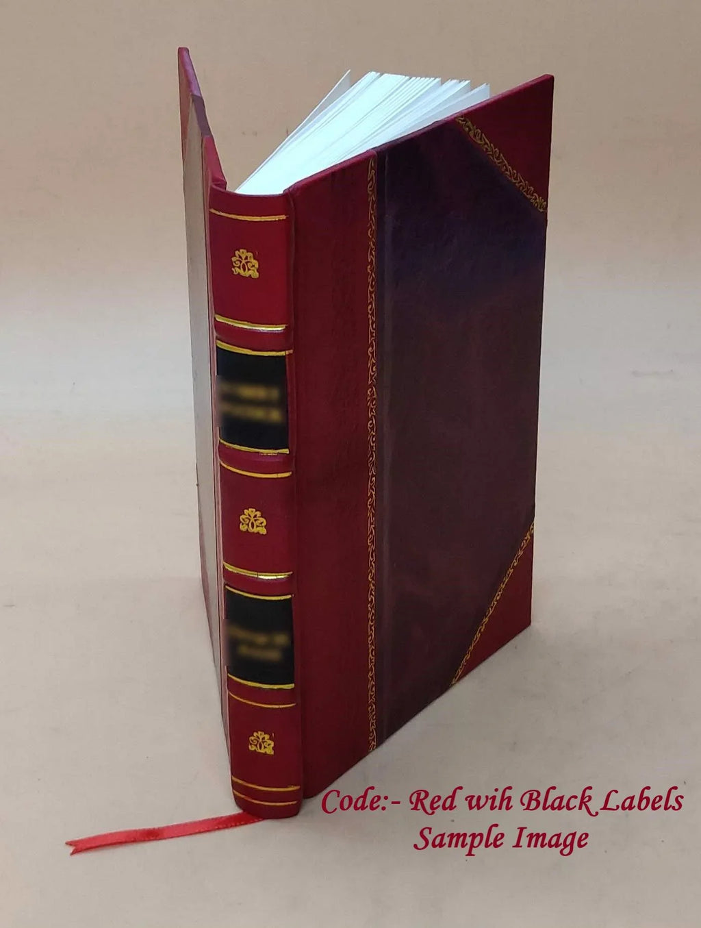 eagle : a The novel contemporary 1918 Bound] [Leather war