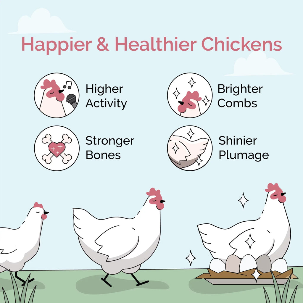 Non-Medicated Grown Organic, US 100% Grains, Organic Non-GMO, Certified Chicken Whole Corn-Free, | Four | Protein | Feed | Chicken Certified | Grain Soy-Free, 18% 46 lbs. Grower Food Mile