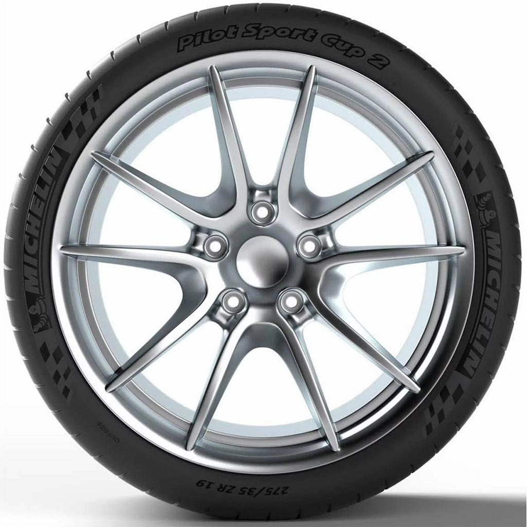 Michelin Pilot Sport Cup 2 Summer 315/30Zr21/Xl (105Y) Tire