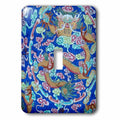 Single Toggle plate, Thien?Hue - Vietnam. 3dRose Hue, The Naga Asia, Thua Citadel, ceramic Switch