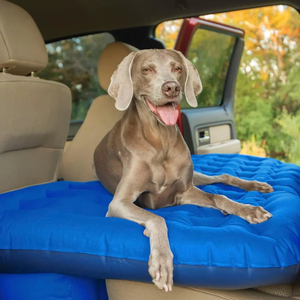 Pittman Outdoors Ppi-Blu-Trkmat Inflatable Fabric Rear Seat Truck Air Bed Mattress | 5 Feet In Length | Fits Full-Sized Trucks And 'S, Navy