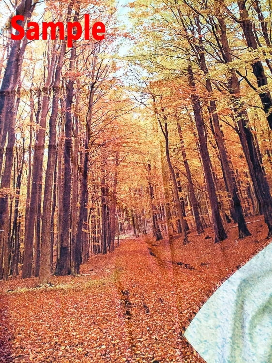 Background Portraits Photography Beautiful Studio Backdrops Scenery Cascades Nature 7x5ft Trees Mountain Waterfall liquid View Autumn Video Shooting GreenDecor Loveliest Props and